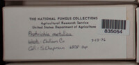 Image Associated With the Occurence